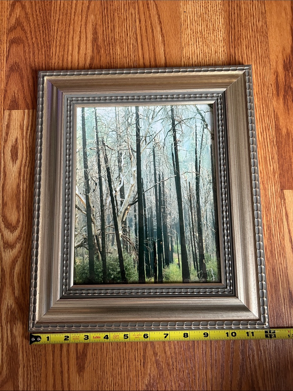 Lot of 3 Landscape Outdoor Framed Prints Woodland Water Snow Cap Mountains - Picture 5 of 12